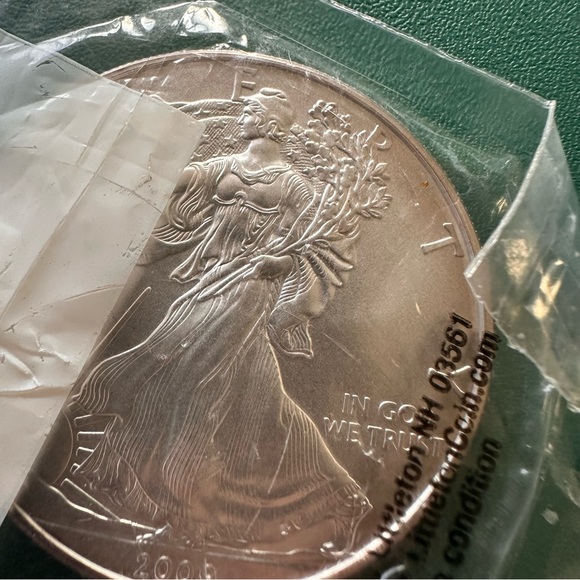 2009 American Silver Eagle $1 • 1 oz .999 Fine Silver • Uncirculated • Toned - Picture 2 of 11